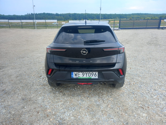 zdjęcie